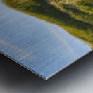 Greenwich grass dune on sky background Metal print