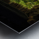 Cuban Pelican flying with blue sky Metal print