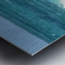 Cuban Pelican Dive 3 Metal print