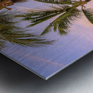 Palmtrees on coloured sky with moon Metal print