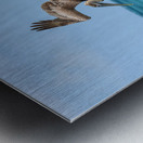 Pelican Cuban 6 Metal print