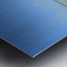 Mangrove on Cuban beach Metal print