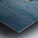 Cuban pelican splash Metal print