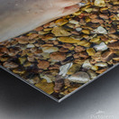 Wading toes in the ocean water Metal print