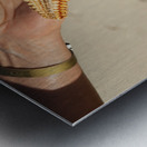 Starfish in womans hands Metal print