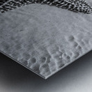 Giant starfish in black and white Metal print