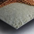 Giant Starfish on beach in ocean Metal print