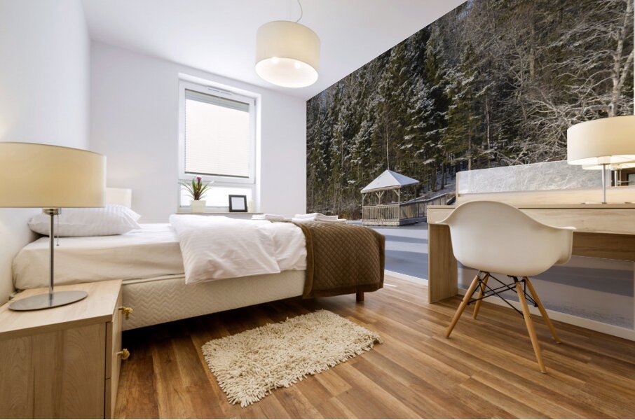 Bird sanctuary pond winter Mural print