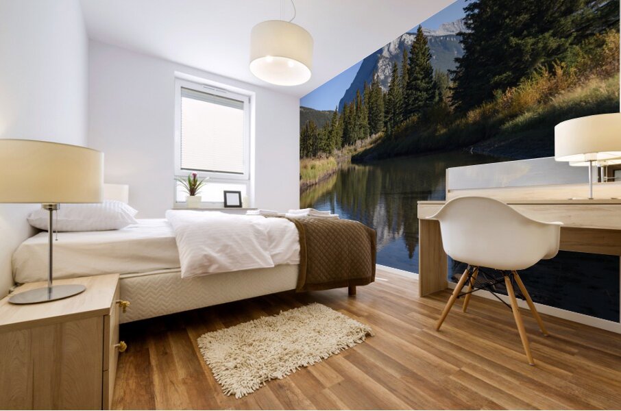 Bow river with mountains 2-7 Mural print