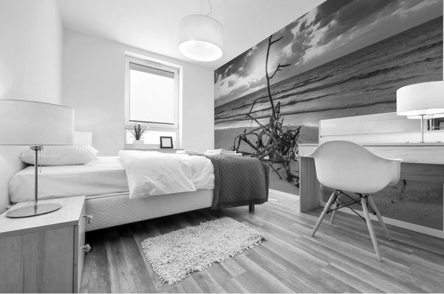 driftwood sunset bw Mural print