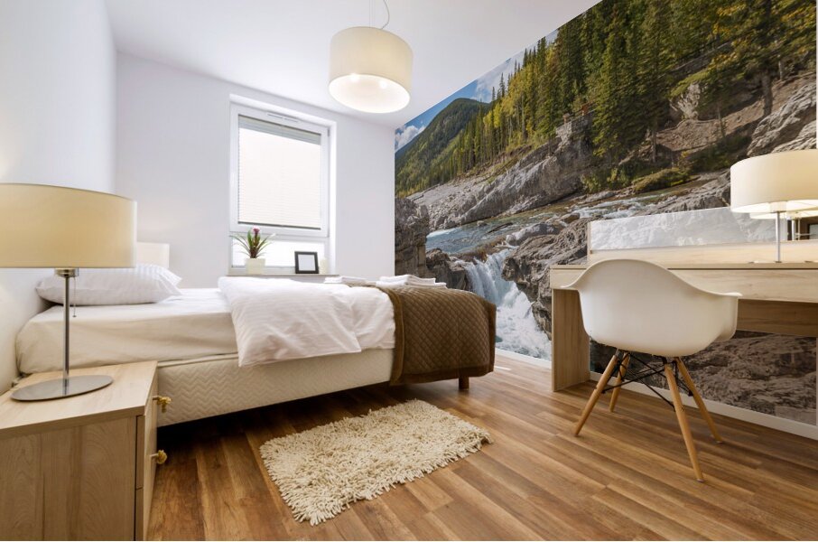 Elbow Falls Alberta 2 Mural print