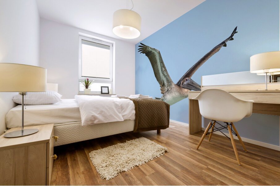 Pelican Cuban - 9 Mural print