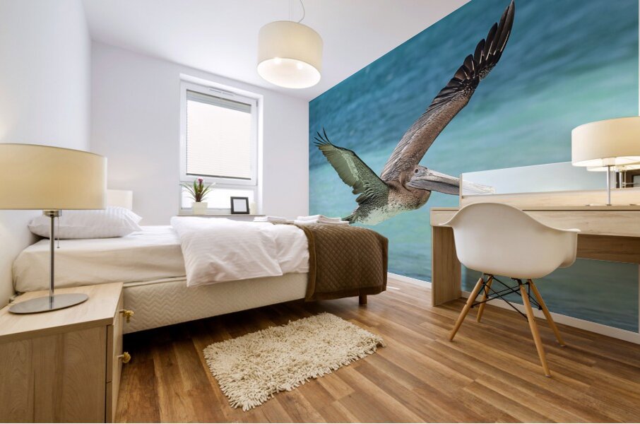 Pelican Cuban - 10 Mural print