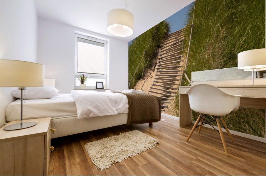Pathway over the dunes to the beach. Mural print