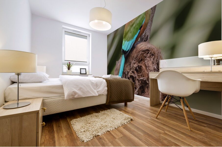 Mot Mot  Clock bird Mural print