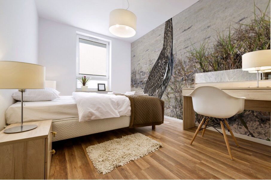 Small long leg cuban bird Mural print