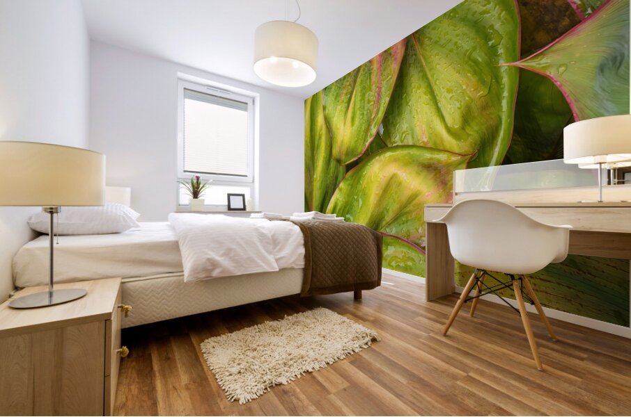 Wet Jungle Leaves closeup Mural print