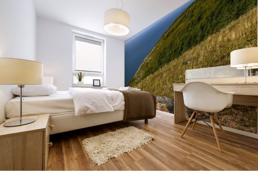 Skyline trail Cape Breton Hills Mural print