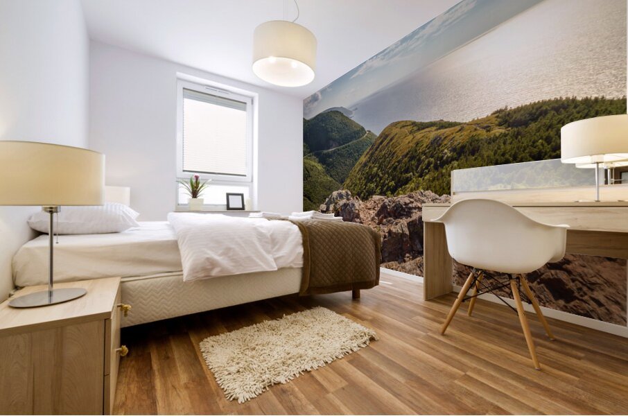 Skyline Trail lookout 2 Mural print