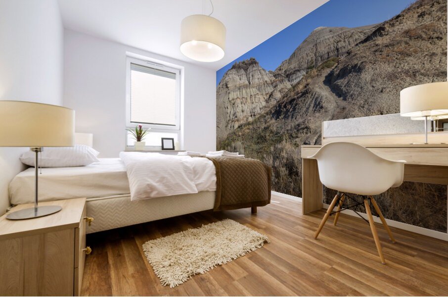 horseshoe canyon 2456 Mural print