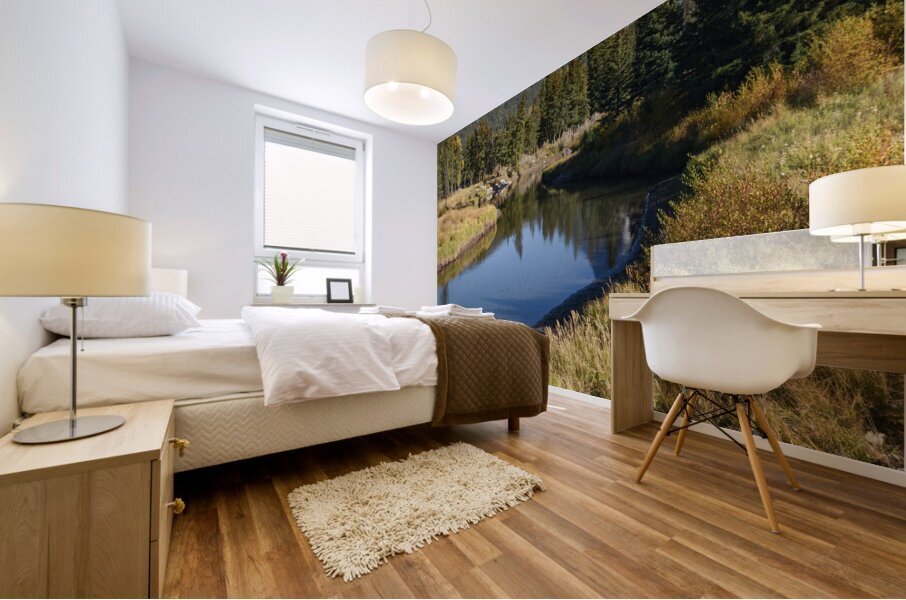 Banff Bow River mountains 2-5 Mural print