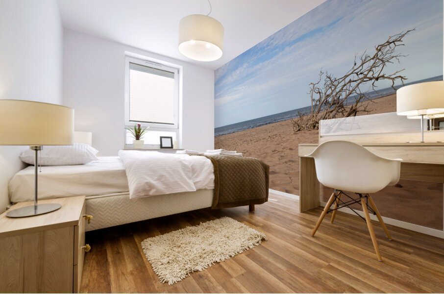 Greenwich beach driftwood art Mural print