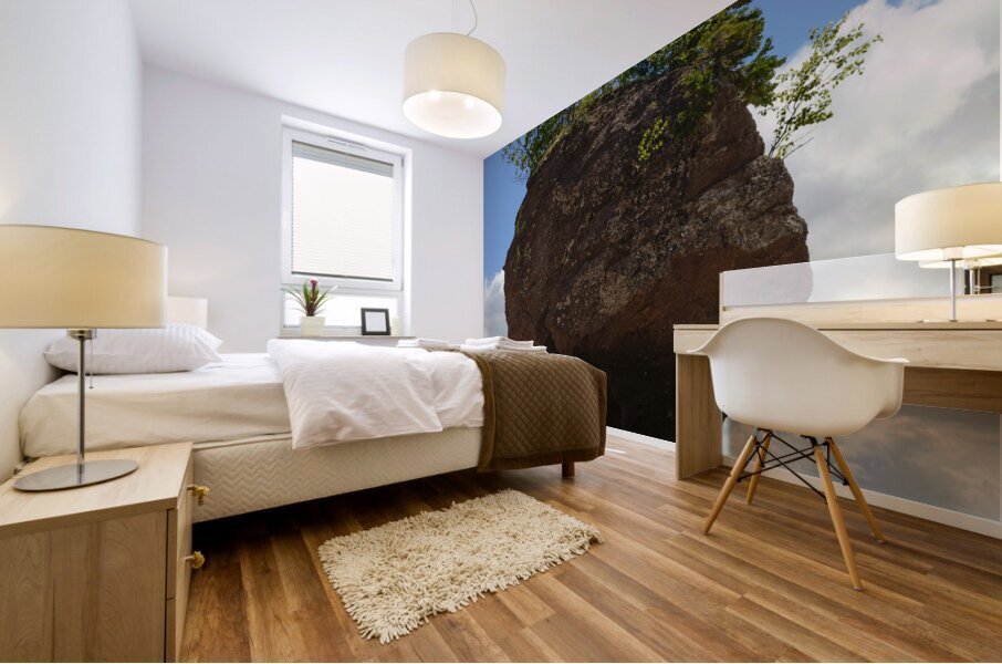 Hopewell Rock head silhouette Mural print