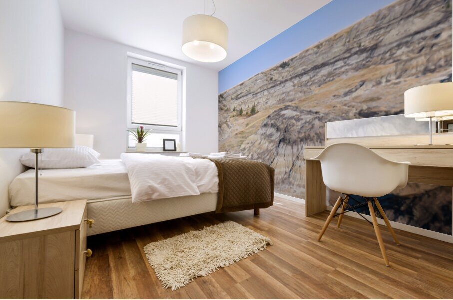 Horseshoe Canyon Pano Mural print