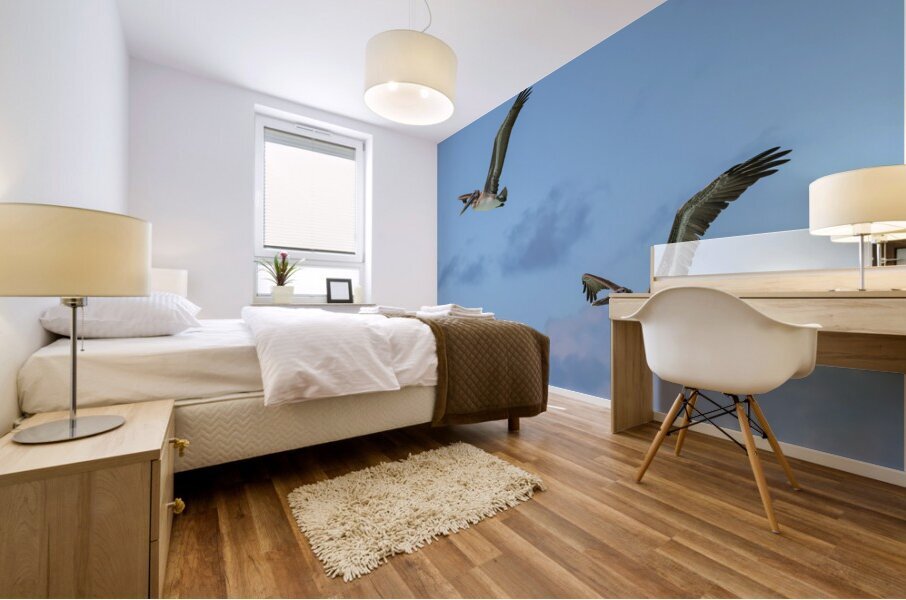 Two Cuban Pelicans in flight 2 Mural print