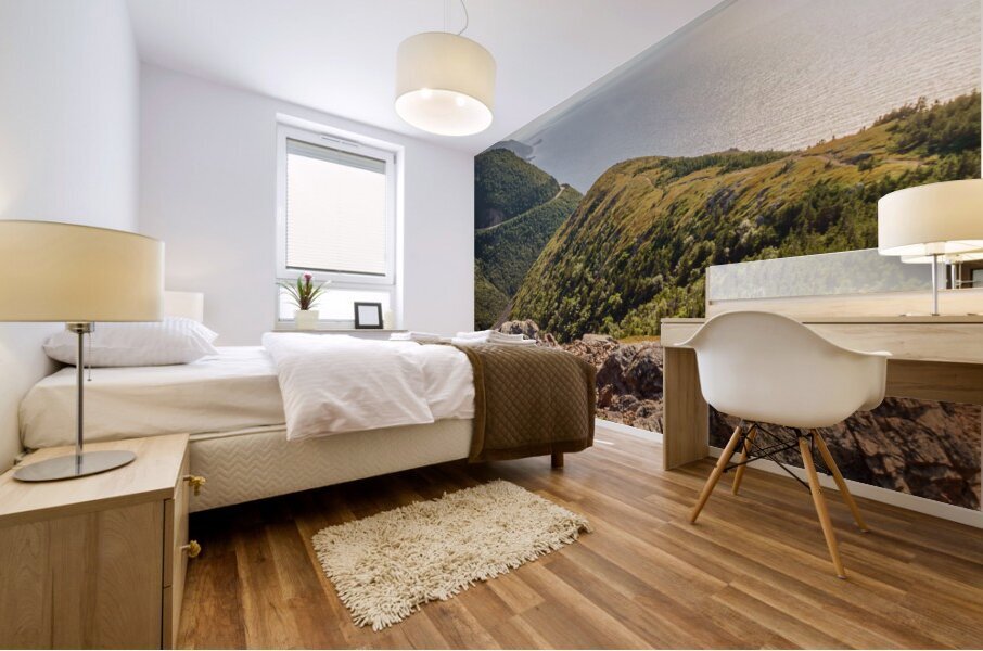 Skyline trail lookout Mural print