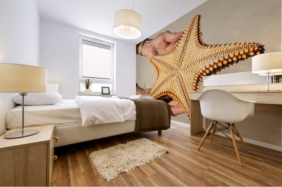 Starfish in womans hands Mural print