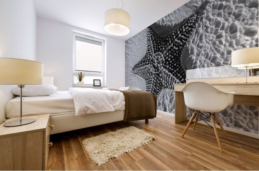 Giant starfish in black and white Mural print