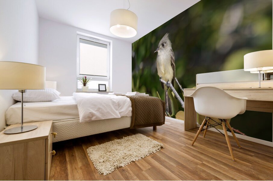 Small Cuban bird branch Mural print