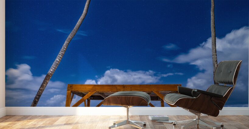 palmtrees beach night Wall Murals