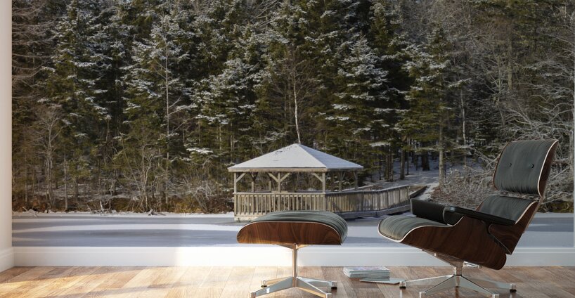 Bird sanctuary pond winter Wall Murals