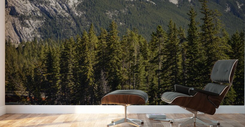 banff-bow river 2 Wall Murals