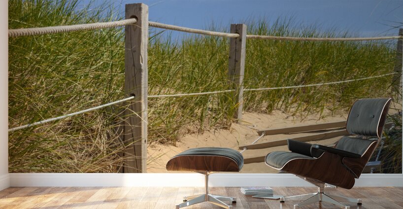 Path Almost at the beach Wall Murals