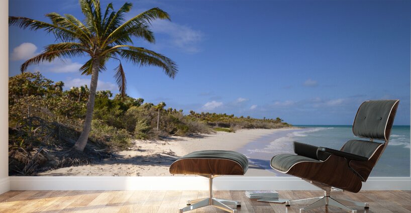 Cayo Coco Cuba beach Wall Murals
