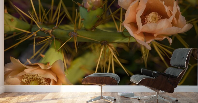 Cuban cactus flower bloom Wall Murals