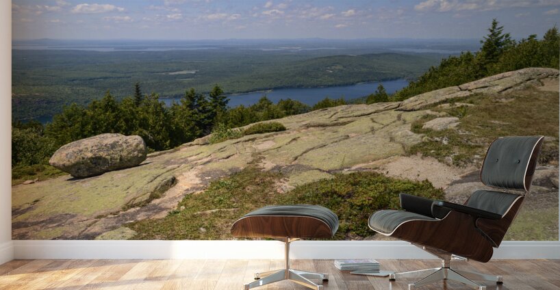 Cadillac mountain Wall Murals