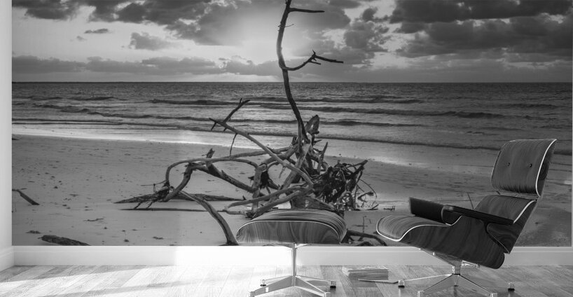 driftwood sunset bw Wall Murals