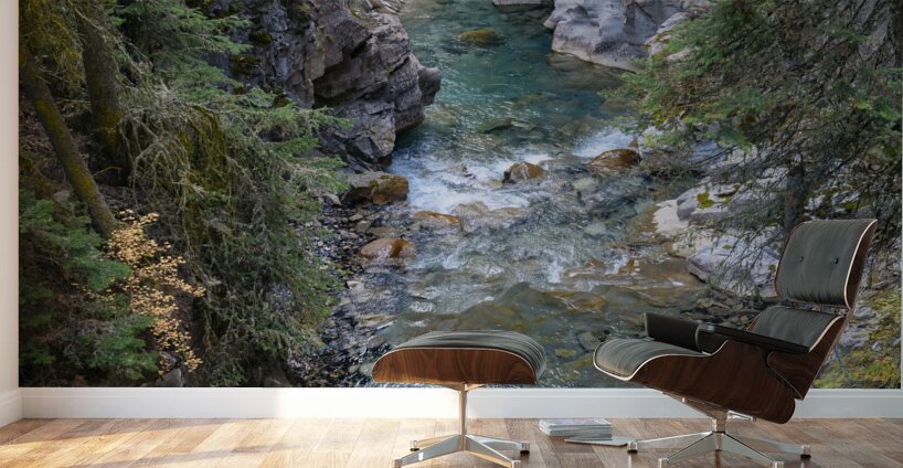 Johnston Canyon river Wall Murals
