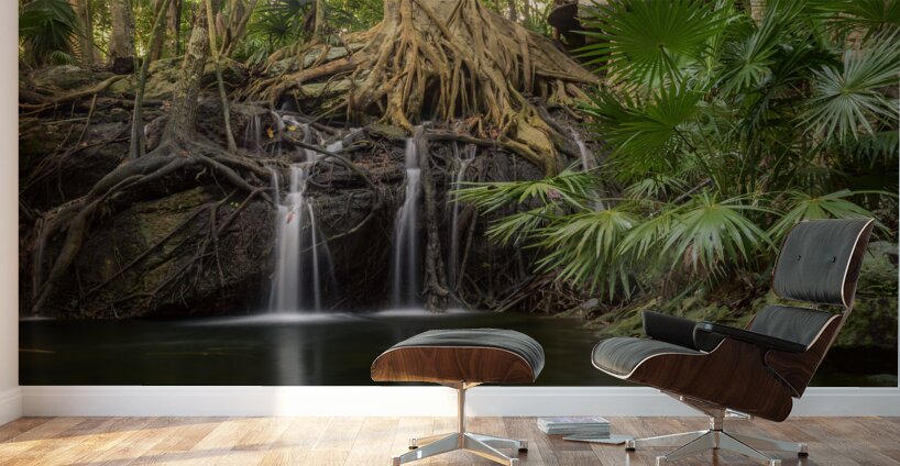 jungle tree waterfall Wall Murals