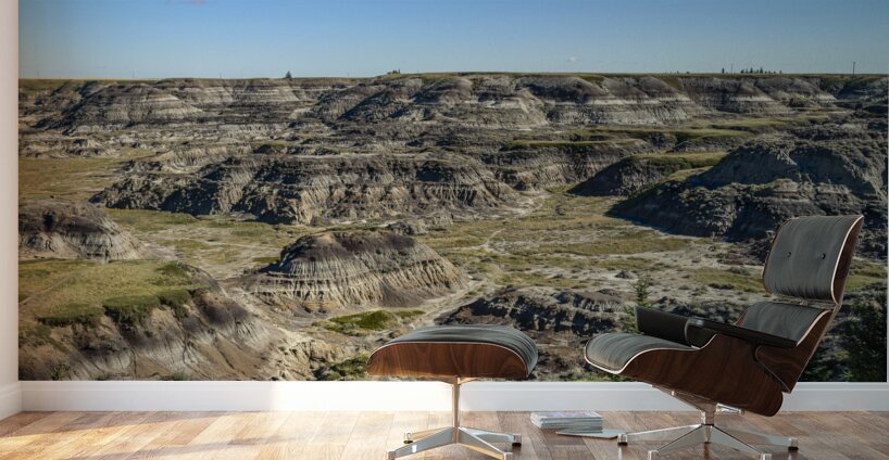 Horseshoe Canyon in Alberta Wall Murals