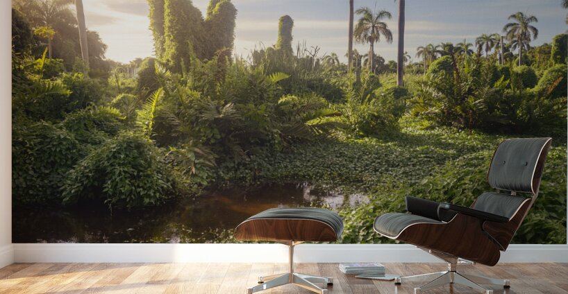 Jungle Garden Dominican Wall Murals