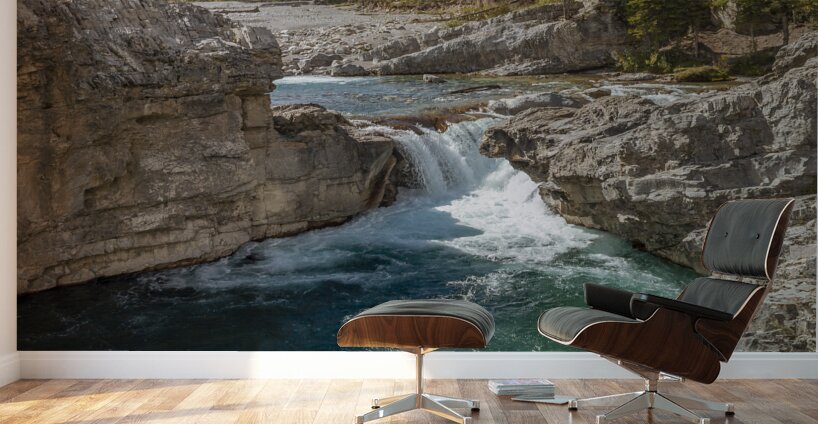 Elbow Falls Alberta Wall Murals