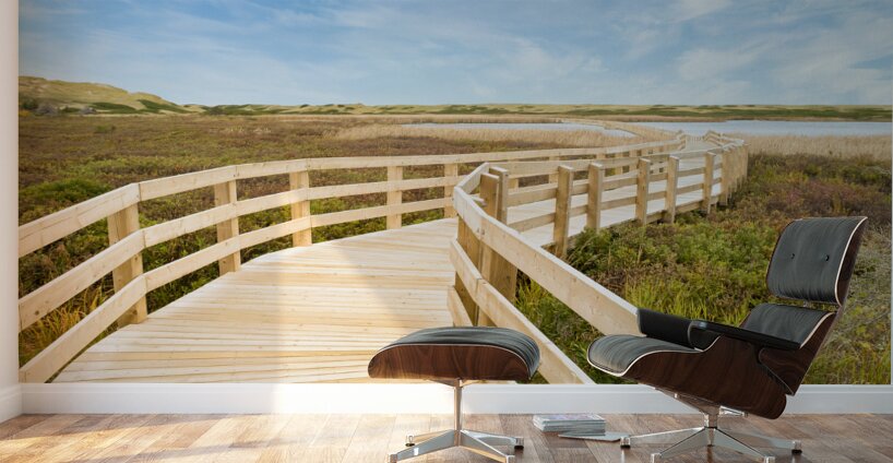 Greenwich boardwalk trail Wall Murals