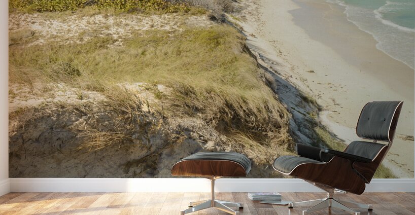 Cayo Coco Cuban Dune Wall Murals