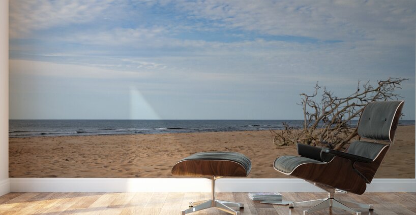 Greenwich Driftwood art 2 Wall Murals