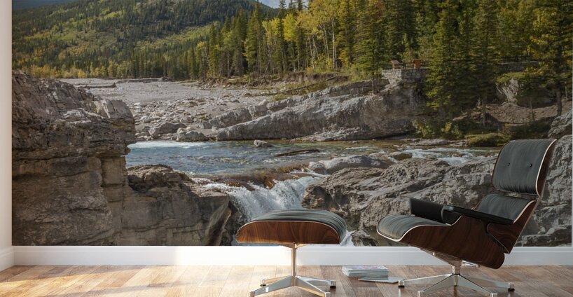 Elbow Falls Alberta 2 Wall Murals